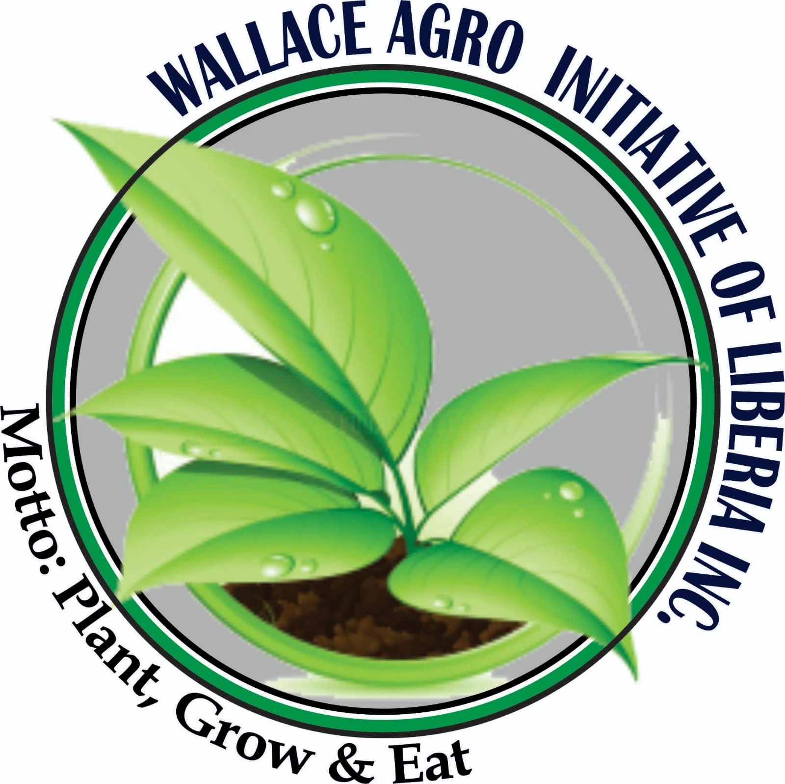 Wallace Agro Initiative of Liberia Inc.